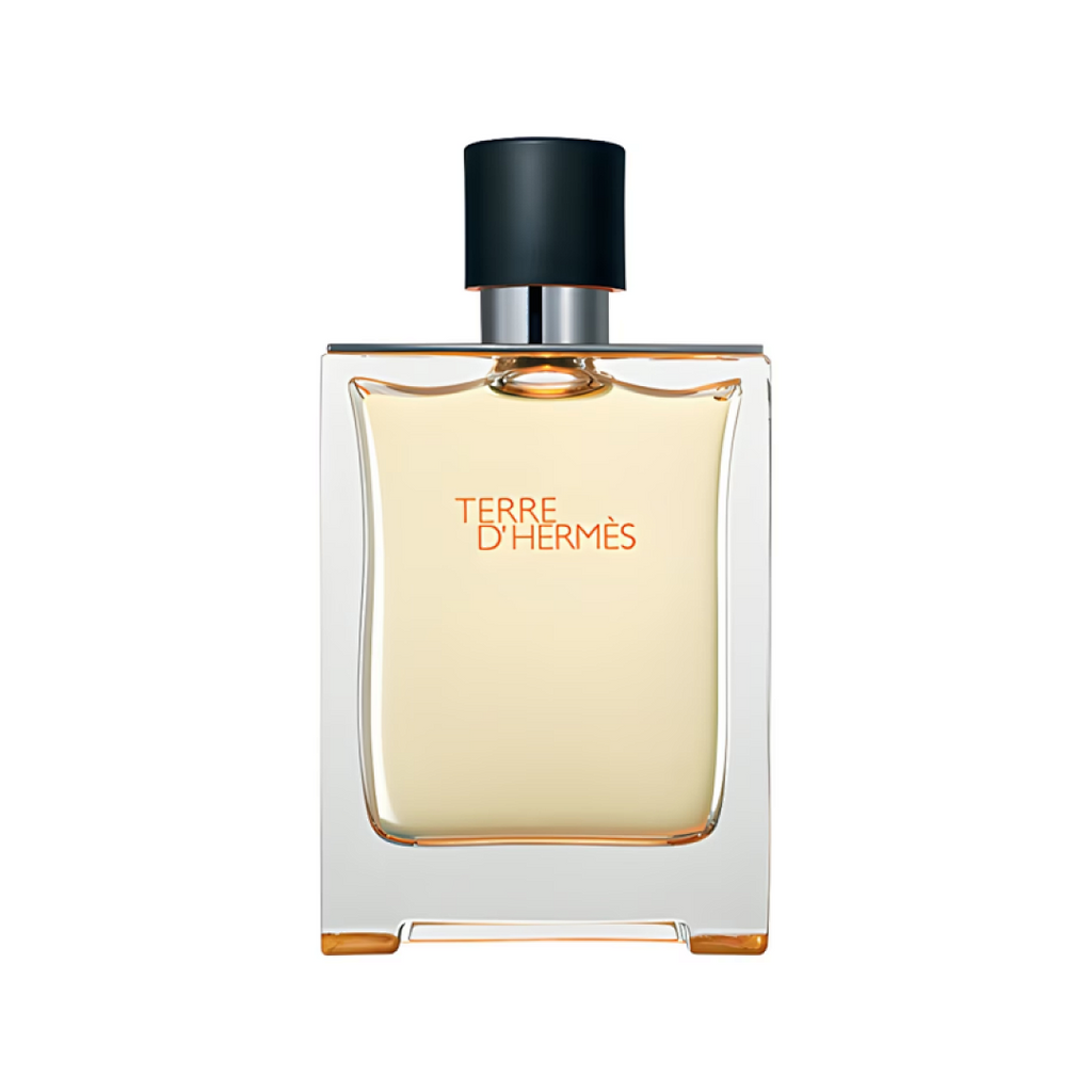 Terre d'Hermès Hermès 100ML