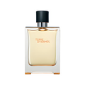 Terre d'Hermès Hermès 100ML