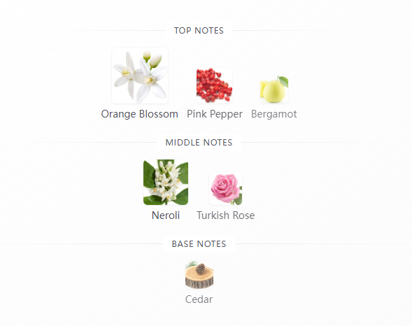 Marrakesh in a Bottle Orange Blossom | 24 Eau de Parfum Kayali Fragrances for women 100ml
